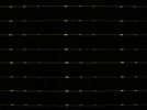 TIR Fluorescence of adherend T47D-EYFP-Mem, Mamma carcinoma cells